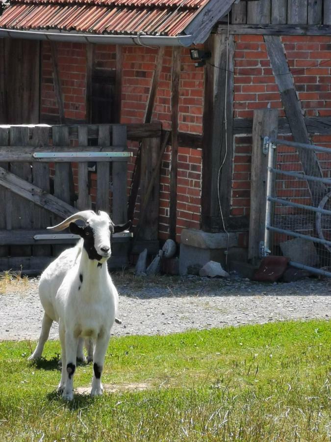 Heuhotel Beim Gnadenhof Murrhardt Eksteriør bilde